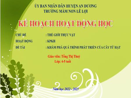 Bài giảng Mầm non Lớp Chồi - Chủ đề: Thực vật - Khám phá quá trình phát triển của cây từ hạt - Tống Thị Thủy