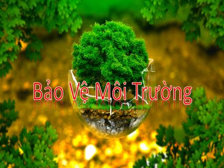 Bài giảng Mầm non Lớp Lá - Bảo vệ môi trường