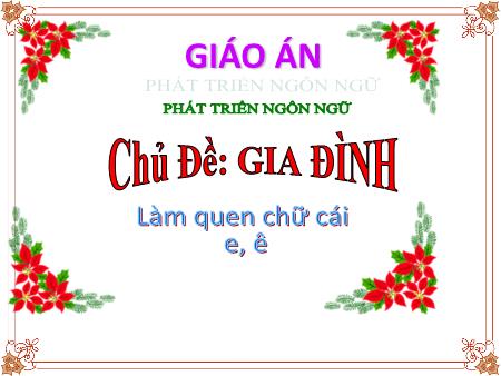 Bài giảng Mầm non Lớp Lá - Chủ đề: Gia đình - Chữ cái E - Ê