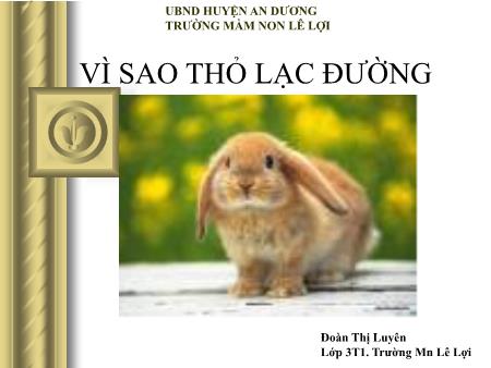 Bài giảng Mầm non Lớp Mầm - Vì sao thỏ lạc đường - Đoàn Thị Luyên