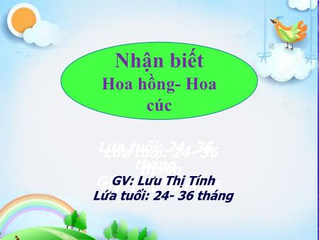 Bài giảng Mầm non Lớp Nhà trẻ - Nhận biết hoa hồng - Hoa cúc - Lưu Thị Tính