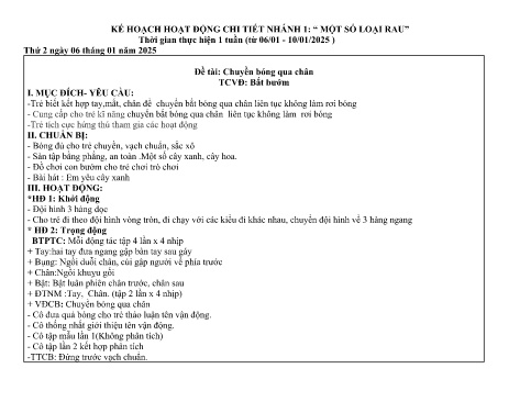 Giáo án Mầm non Lớp Chồi - Nhánh 1: Một số loại rau - Năm học 2024-2025