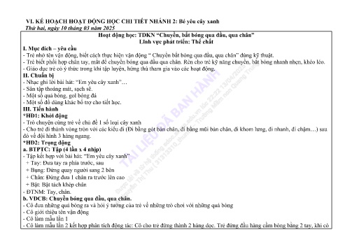 Giáo án Mầm non Lớp Chồi - Nhánh 2: Bé yêu cây xanh - Năm học 2024-2025