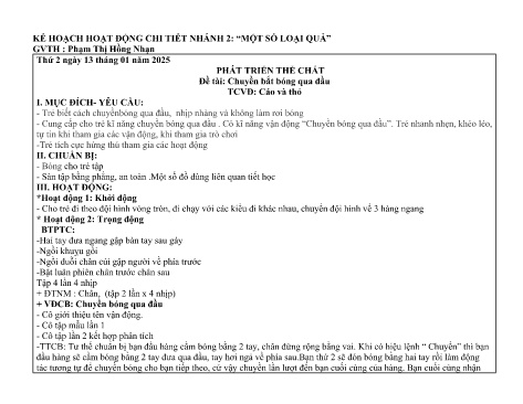 Giáo án Mầm non Lớp Chồi - Nhánh 2: Một số loại quả - Năm học 2024-2025 - Phạm Thị Hồng Nhạn