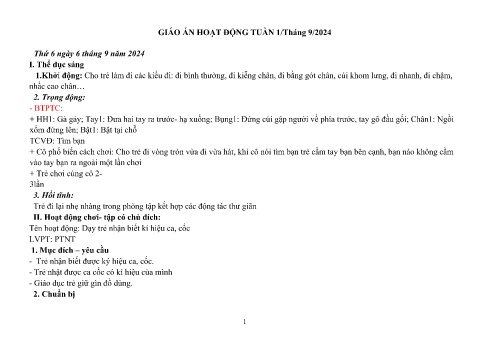 Giáo án Mầm non Lớp Mầm - Tuần 1 - Năm học 2024-2025