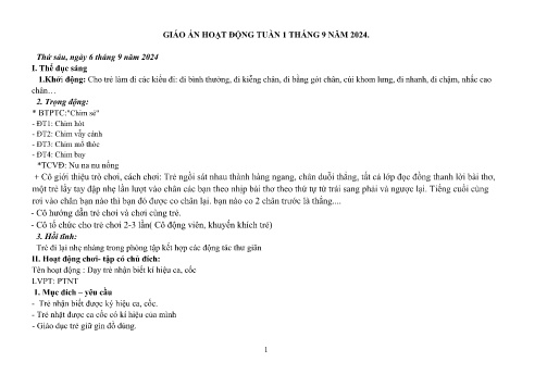 Giáo án Mầm non Lớp Nhà trẻ - Hoạt động tuần 1 - Năm học 2024-2025