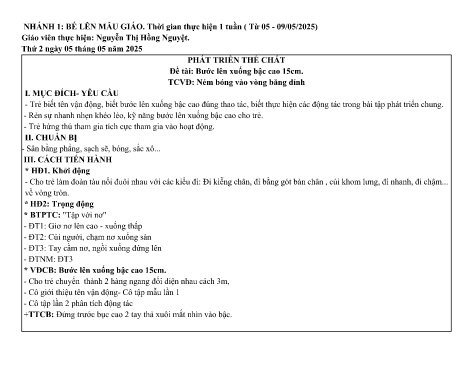 Giáo án Mầm non Lớp Nhà trẻ - Nhánh: Bé lên mẫu giáo - Năm học 2024-2025 - Nguyễn Thị Hồng Nguyệt