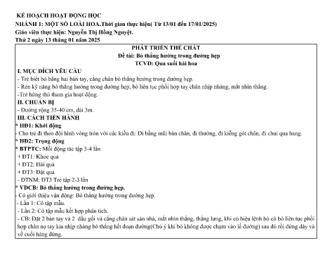 Giáo án Mầm non Lớp Nhà trẻ - Nhánh: Một số loài hoa - Năm học 2024-2025 - Nguyễn Thị Hồng Nguyệt