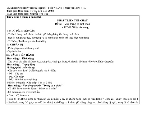Giáo án Mầm non Lớp Nhà trẻ - Nhánh: Một số loại quả - Năm học 2024-2025 - Nguyễn Thị Hoa