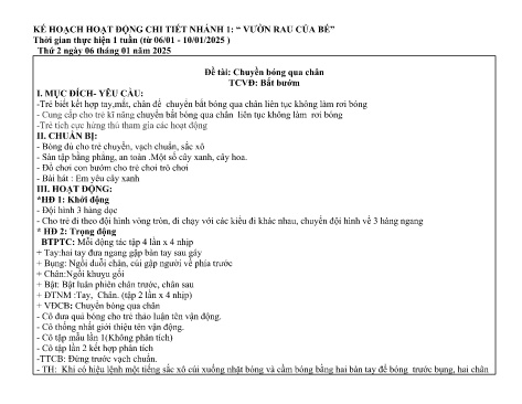 Kế hoạch bài dạy Mầm non Lớp Chồi - Nhánh 1: Vườn rau của bé - Năm học 2024-2025