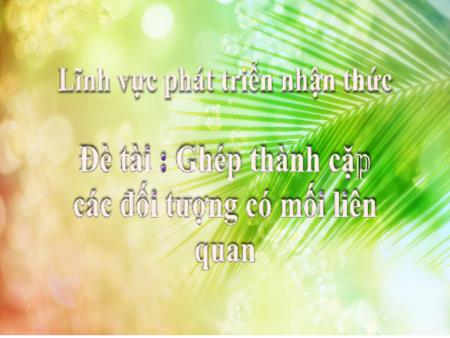 Bài giảng Mầm non Lớp Lá - Đề tài: Ghép thành cặp các đối tượng có mối liên quan - Trường Mầm non Song Khê