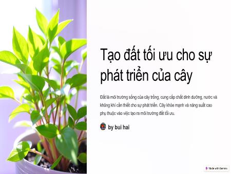 Bài giảng Mầm non Lớp Lá - Đề tài: Tạo đất tối ưu cho sự phát triển của cây - Trường Mầm non Ngô Quyền