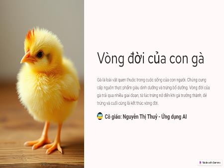 Bài giảng Mầm non Lớp Lá - Đề tài: Vòng đời của con gà - Nguyễn Thị Thuỷ