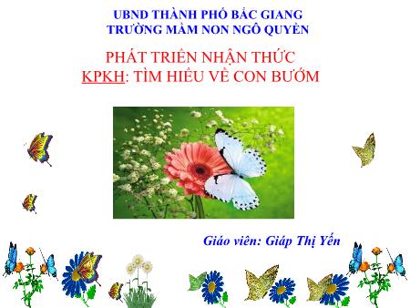 Bài giảng Mầm non Lớp Lá - Khám phá khoa học: Tìm hiểu về con bướm - Giáp Thị Yến