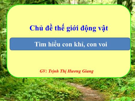 Bài giảng Mầm non Lớp Mầm - Chủ đề: Thế giới động vật - Đề tài: Tìm hiểu con khỉ, con voi - Trịnh Thị Hương Giang