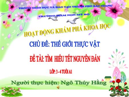 Bài giảng Mầm non Lớp Mầm - Chủ đề: Thế giới thực vật - Đề tài: Tìm hiểu Tết Nguyên Đán - Ngô Thúy Hằng