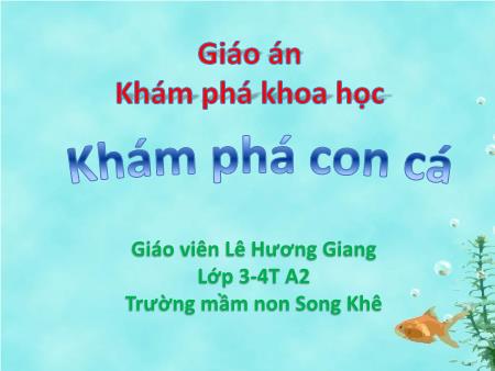 Bài giảng Mầm non Lớp Mầm - Đề tài: Khám phá con cá - Lê Hương Giang