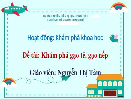 Bài giảng Mầm non Lớp Mầm - Đề tài: Khám phá gạo tẻ, gạo nếp - Nguyễn Thị Tâm