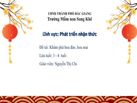 Bài giảng Mầm non Lớp Mầm - Đề tài: Khám phá hoa đào, hoa mai - Nguyễn Thị Chi