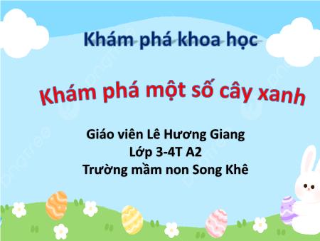 Bài giảng Mầm non Lớp Mầm - Đề tài: Khám phá một số cây xanh - Lê Hương Giang