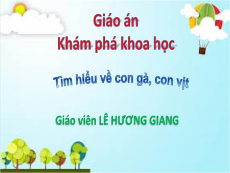 Bài giảng Mầm non Lớp Mầm - Đề tài: Tìm hiểu về con gà, con vịt - Lê Hương Giang