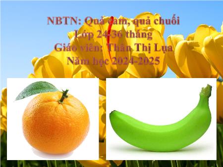 Bài giảng Mầm non Lớp Nhà trẻ - Đề tài: Nhận biết tập nói: Quả cam, quả chuối - Năm học 2024-2025 - Thân Thị Lụa